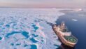 Arctic Ocean food chain disrupted as key tipping point passed