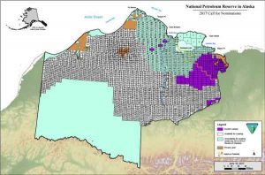 Map showing available tracts for lease in the National Petroleum Reserve. Image-BLM (Click here for larger version on BLM site)