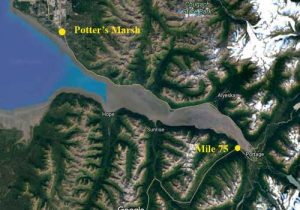 On October1, the Anchorage Police Department will begin patrolling the Seward Highway from Potter's Marsh out to mile 75. Image-Google Maps