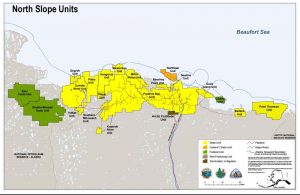 Map showing the location of the Pikka Unit on Alaska's North Slope. Image-Alaska Department of Natural Resources