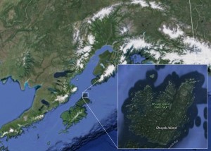 Map showing the location of Shuyak Island. Image-Google Maps