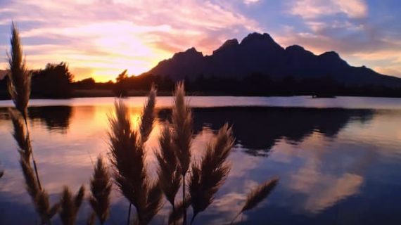 Deconstructing the Myths About Victims