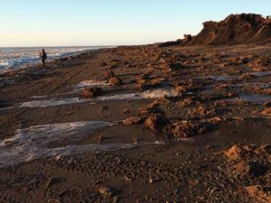 Photo by Alice Bailey
A person walks along a storm-battered beach near Quinhagak after ex-Typhoon Merbok hit Western Alaska in 2022.