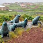 Northern Fur Seal Deaths on St. George Island, Linked to Harmful Algal Bloom St. George Island. Credit: NOAA Fisheries