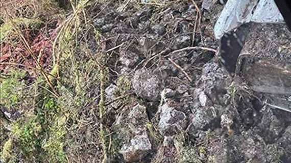 Yakutat Tribe, SHI and Sealaska Urging Cessation of Logging of Historic Site