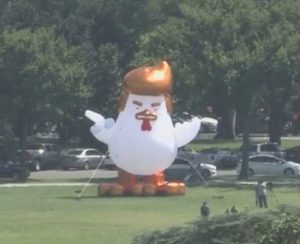 An inflatable chicken appeared near the White House on Wednesday. Webcam screengrab