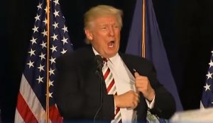 Republican presidential candidate Donald Trump at Rally. Image-Internet screengrab of Youtube video