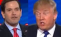 Experts Appalled at Report of Marco Rubio Acting as Venezuela ‘Viceroy’