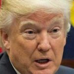 Trump is maintaining that illegals, "two-stater," and dead people caused him to lose the popular vote, and has ordered an investigation.