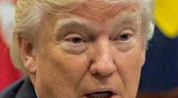 Report Details Trump Effort to Quietly Lay Groundwork to ‘Steal Future Elections’