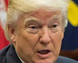 Trump is maintaining that illegals, "two-stater," and dead people caused him to lose the popular vote, and has ordered an investigation.