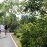 Photo by Eric Engman Two people walk through Georgeson Botanical Garden at the University of Alaska Fairbanks on June 19, 2025.