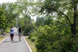 Photo by Eric Engman
Two people walk through Georgeson Botanical Garden at the University of Alaska Fairbanks on June 19, 2025.