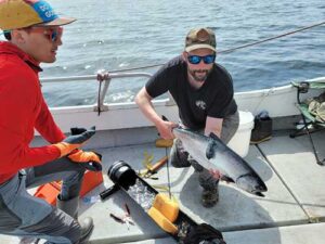 Photo courtesy of Michael Courtney From left, Marcel Gietzmann-Sanders and Michael Courtney prepare to release a tagged Chinook salmon near Sand Point, Alaska, in August 2024. The tag releases on a predetermined date, floating to the surface to transmit data to researchers via satellite.