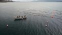 Kelp Farms and Marine Life Co-Exist in Southeast Alaska
