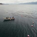 NOAA Fisheries and Sea Quester Farms partnered up to evaluate if kelp farms provide habitat for marine life in Alaska. Pictured here is one of Sea Quester’s farms in southeast Alaska near Juneau. Credit: Hatch Blue, Alaska Mariculture Cluster