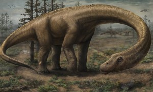 A dinosaur that feared nothing. Image-Jennifer Hall