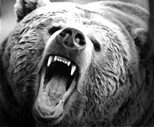 Troopers Respond to False Report of Bear Attacks