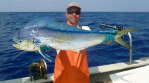 VIMS assistant professor Kevin Weng with a dolphinfish or mahi-mahi (Coryphaena hippurus) collected as part of the study of Fukushima-derived radioactivity in large Pacific Ocean predators.  © A. Gray aboard FV Aoshibi IV.