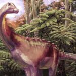 A life reconstruction of the dinosaur in Cretaceous Antarctica. © Andrew McAfee, Carnegie Museum of Natural History