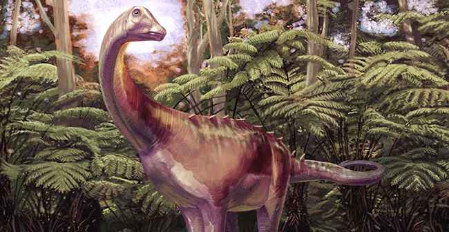 First ever dinosaur found in Antarctica described for science