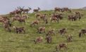 Trump’s ANWR Oil and Gas Auction Was a Bust—But Alaskan Arctic Still Faces Fossil Fuel Threat
