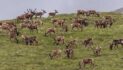 Trump’s ANWR Oil and Gas Auction Was a Bust—But Alaskan Arctic Still Faces Fossil Fuel Threat