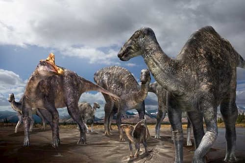 First Lambeosaurine Dinosaur from the Arctic Discovered