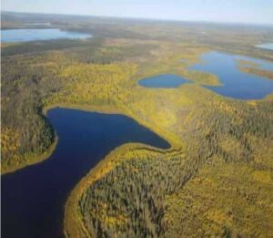 Northeast Alaska’s Yukon Flats region, seen with fall colors.David Butman/University of Washington