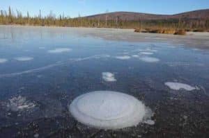 Methane bubbles up from the thawed permafrost at the bottom of the thermokarst lake through the ice at its surface. Credits: Katey Walter Anthony/ University of Alaska Fairbanks