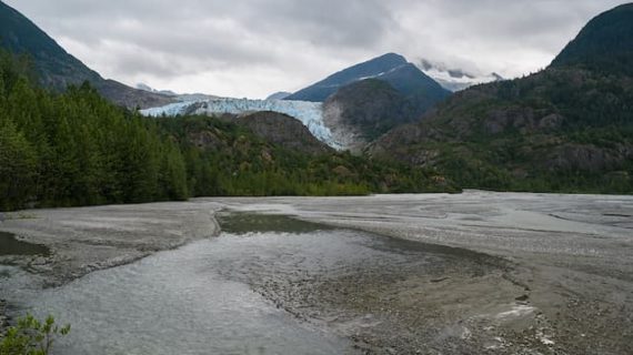 As glaciers retreat in Alaska and British Columbia, thousands of miles of new Pacific salmon habitat may open up by 2100