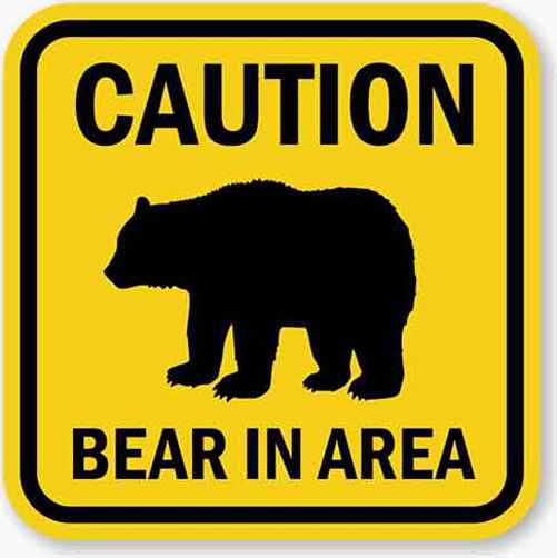 Bicyclist near Cantwell Reports Wednesday Bear Attack