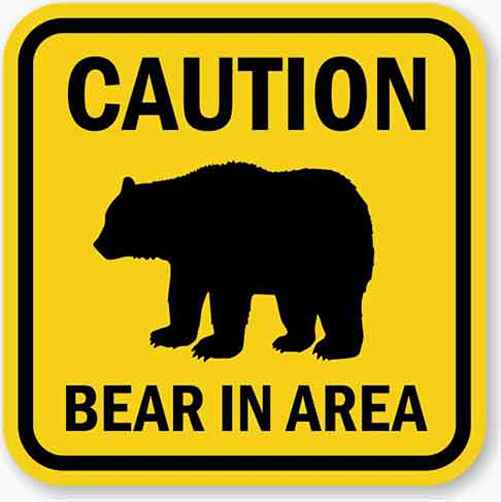 Hunter Mauled by Bear on Nushagak River