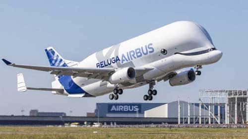 Airborne Beluga Whale Takes Flight over France