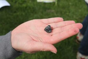 Photo by Laura Weingartner
A small piece of biochar material is shown after a demonstration at the Matanuska Experiment Farm and Extension Center in August 2024.