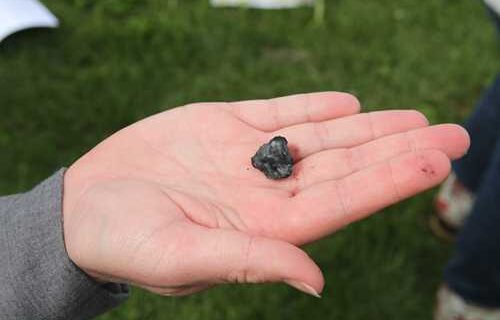 Expert to demonstrate how to produce biochar in Sitka