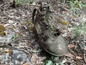 An old boot at the townsite of Franklin, Alaska, which was alive with people from 1887 to 1948. Photo by Ned Rozell.