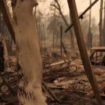 Devastation by destructive, deadly California fires. Image-VOA