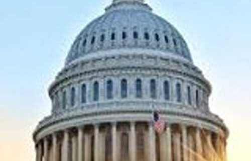 Cape Fox Leadership Applauds Presidential Signing of Congressman Begich’s Legislation