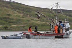 A seine boat near Chignik, Alaska. Image-ADF&G