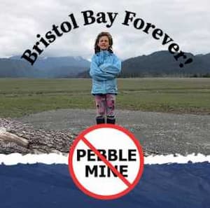 Pebble Lies & Lobbyists: A Payday for Washington, A Scam for Alaskans