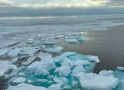 Cyclone clusters in the Arctic reduce sea ice and threaten coastlines