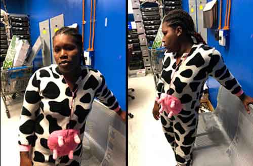 Pine Bluff Shoplifter Offers to let Officer “Suck a Pink Cow Udder”