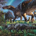 Image-University of Colorado Boulder news