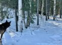 Alaska climate report: April brought sharp weather swings