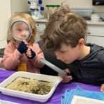 UAMN photo by E. Padilla Children investigate aquatic animals during an Early Explorers event at the University of Alaska Museum of the North in 2024.