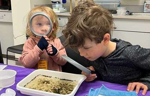 September museum programs focus on fish