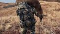 Wasilla men sentenced for running illegal guide-outfitter out of Kodiak