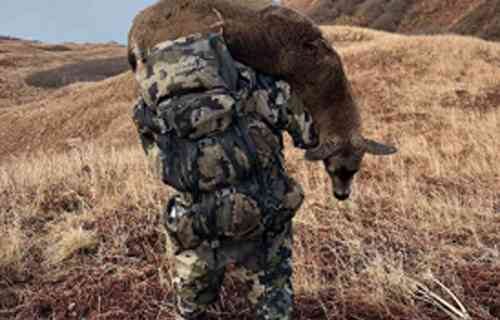 Wasilla men sentenced for running illegal guide-outfitter out of Kodiak
