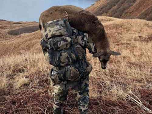 Wasilla men sentenced for running illegal guide-outfitter out of Kodiak